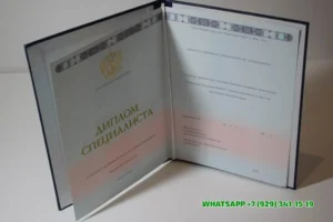 Купить диплом ИЭАУ — Института экономики и антикризисного управления в Ульяновске